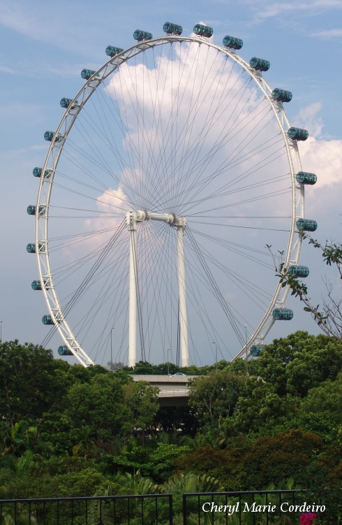 singapore_eye_025