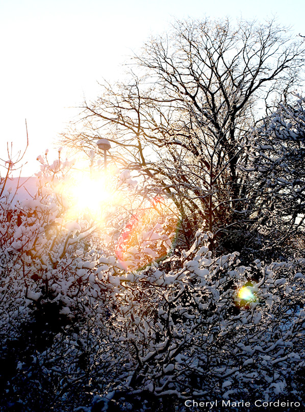 Fractals in sunset, Swedish west coast, Sweden.